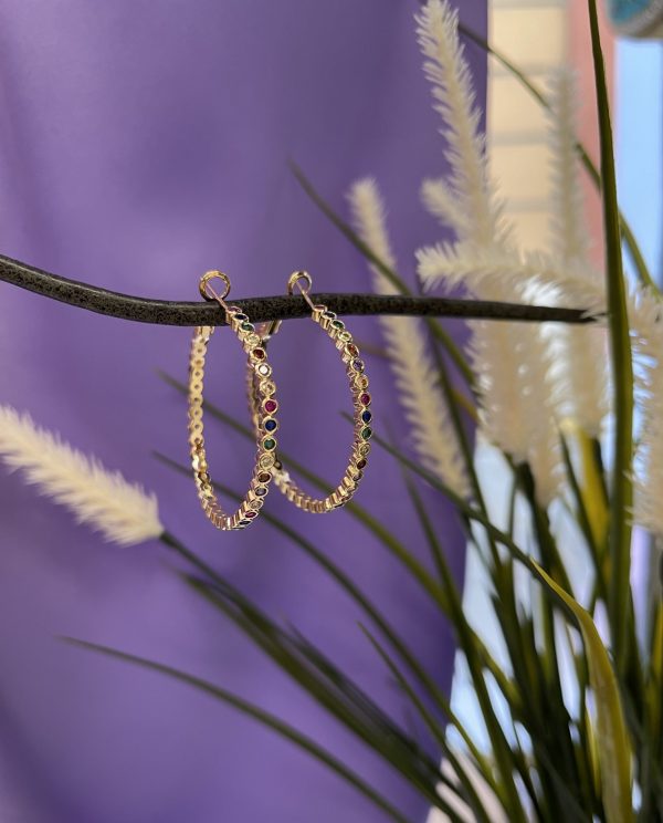 PENDIENTES AROS DALIA