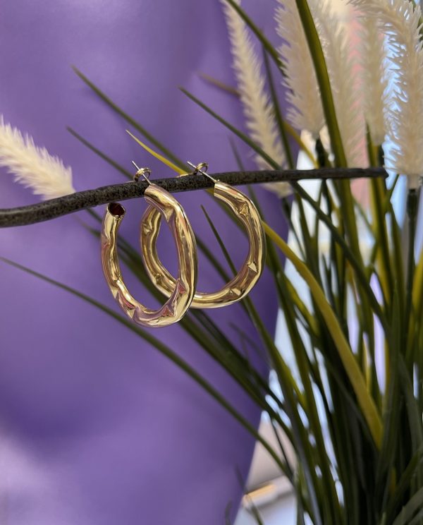 PENDIENTES AROS LEA