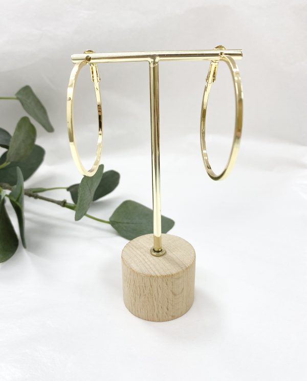 PENDIENTES AROS EDA