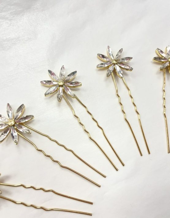 ACCESORIOS PELO