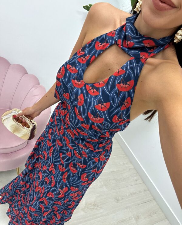 CONJUNTO JUNQUERA
